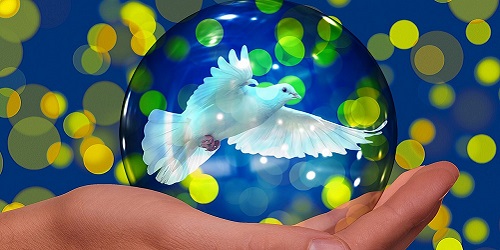 Hilfsorganisationen, soziale Projekte aus D-A-CH und Südtirol